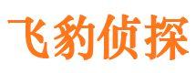 浦城市侦探调查公司